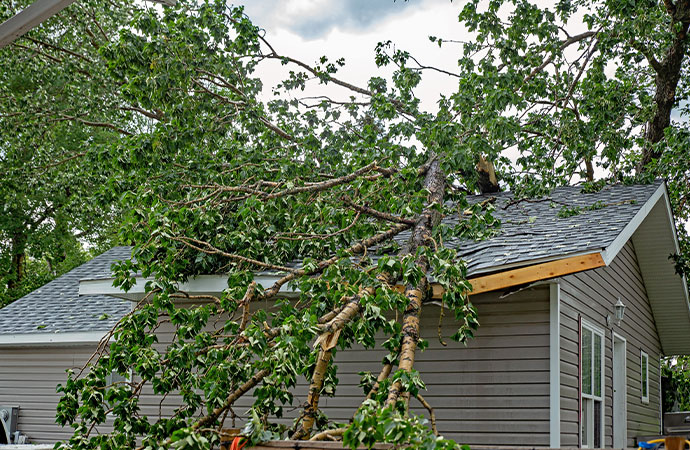 Alpha Omega Assurance of Safety for Storm Damage Restoration