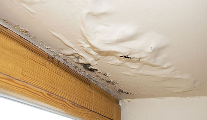 Damaged ceiling by roof leak