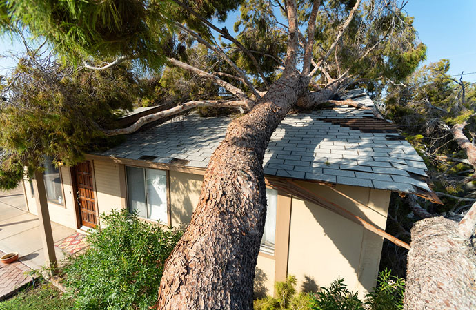 Emergency Safety Inspection for Storm Damage
